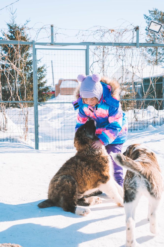 Photograph by Иван Кривоносов