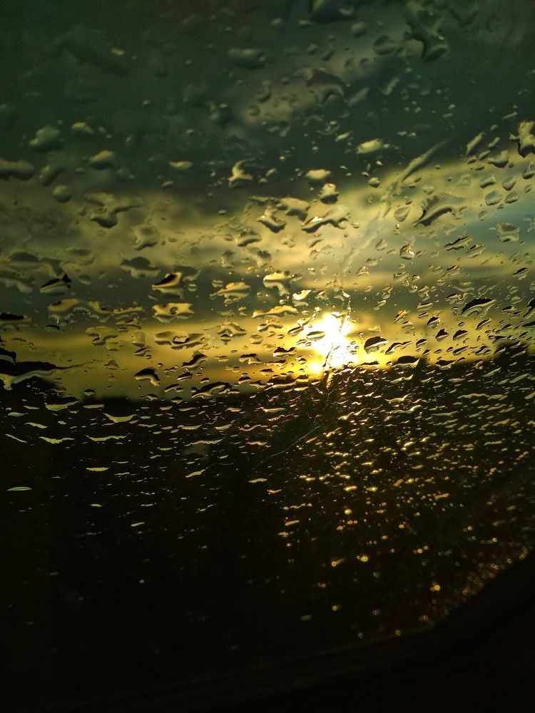 Photograph by Коваль Юлия