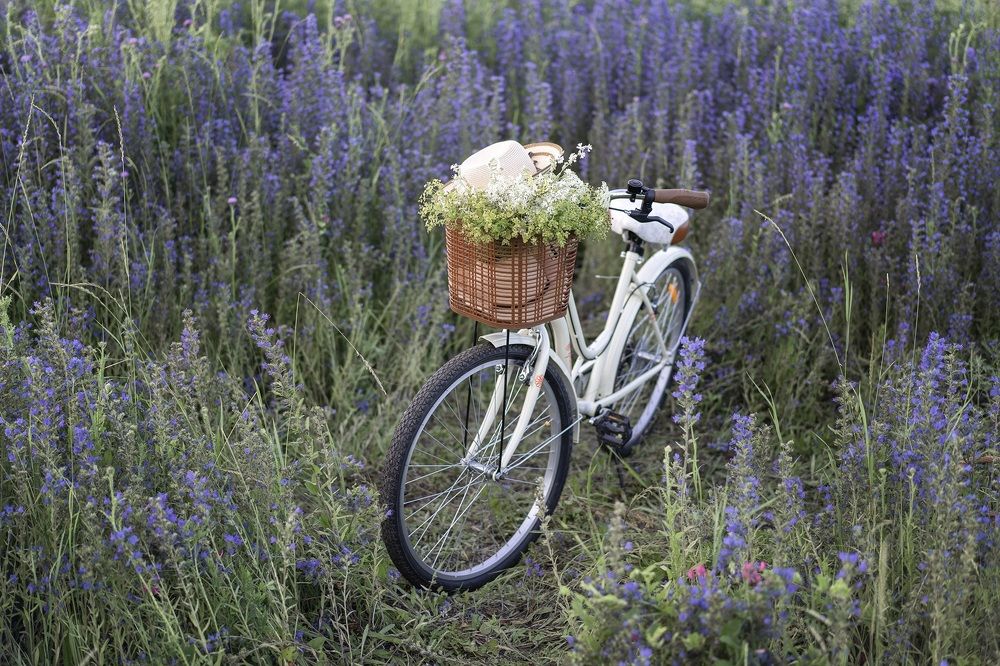 Photograph by Наталья Горохова