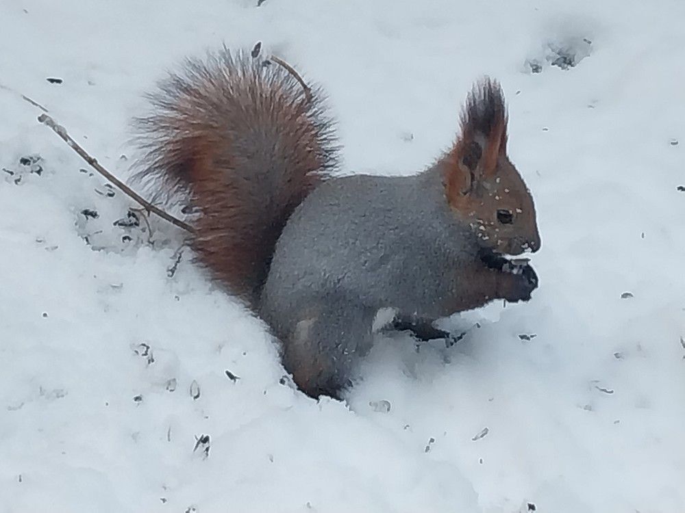 Photograph by Юлия Фирман