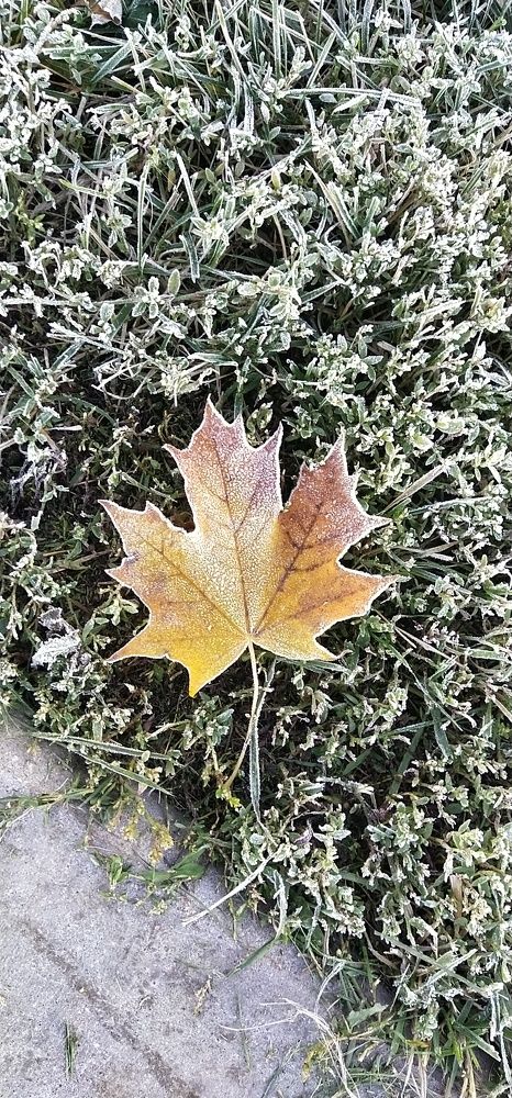 Photograph by Елена Киселёва