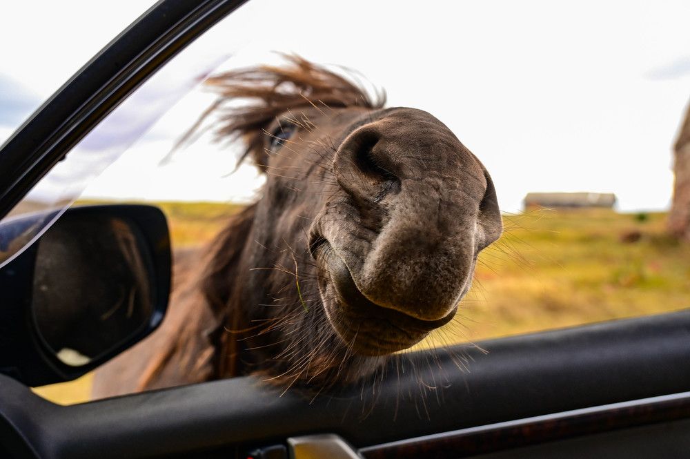 Photograph by Tanzilya Gabidullina