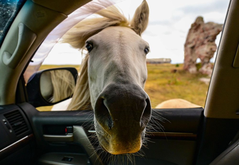 Photograph by Tanzilya Gabidullina