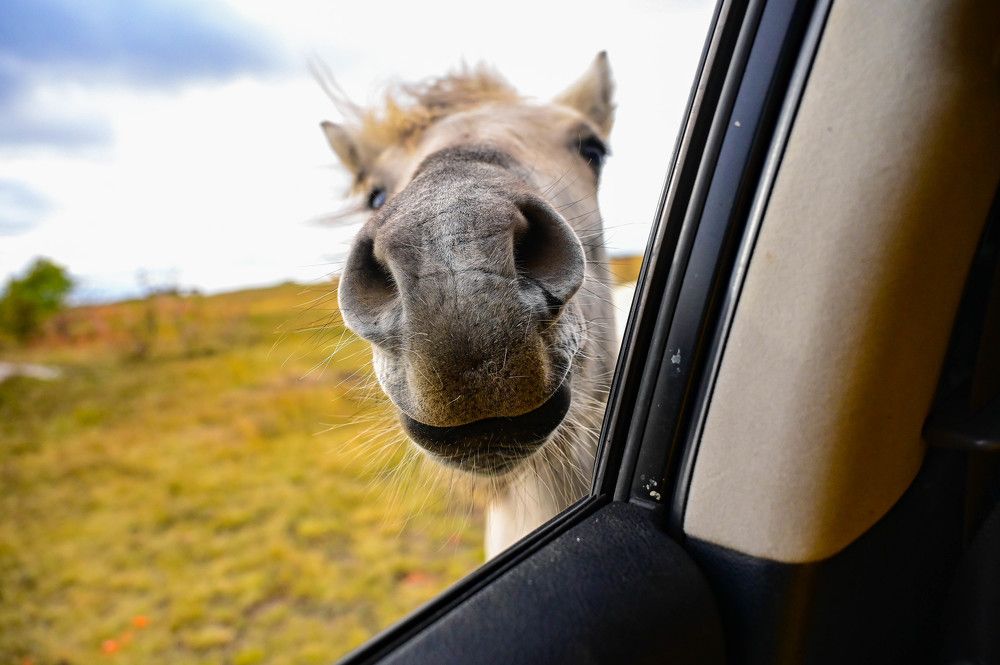 Photograph by Tanzilya Gabidullina