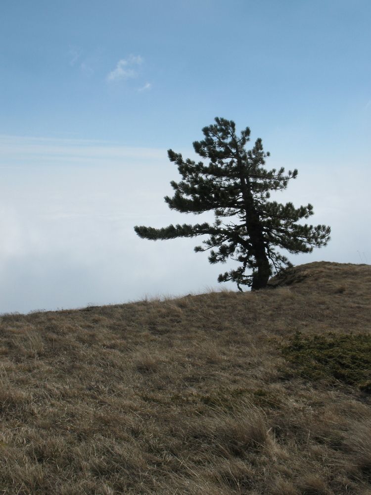 Photograph by Дарья Беляева