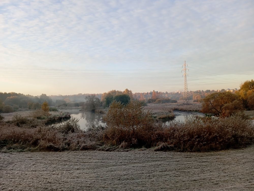 Photo #11353421