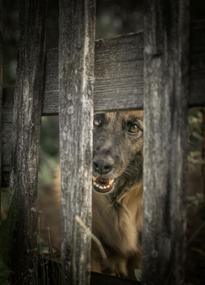 Photograph by Альфия Агзами