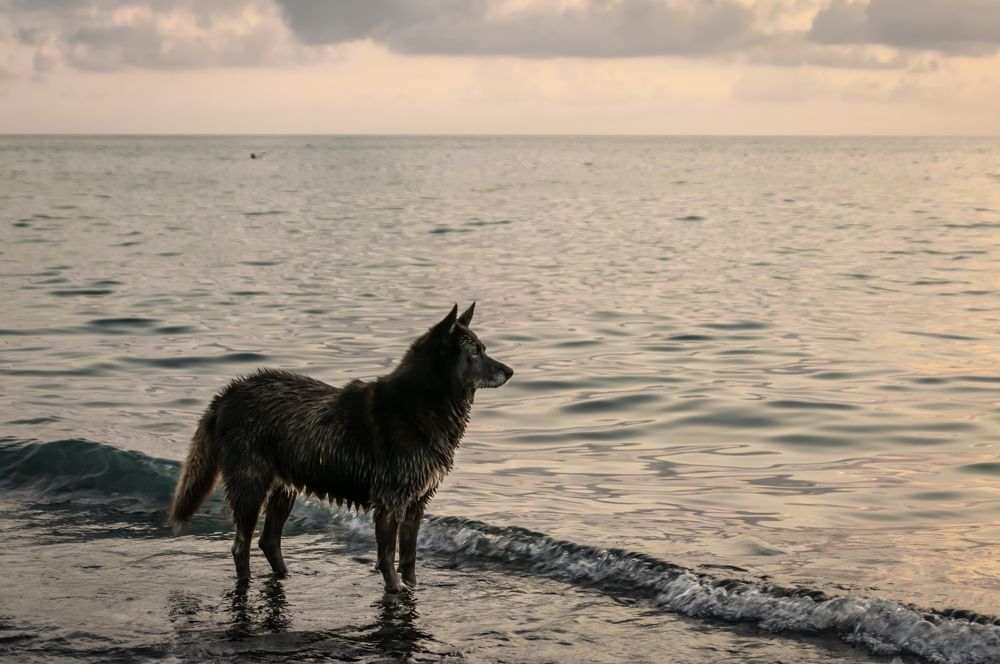 Photograph by Альфия Агзами