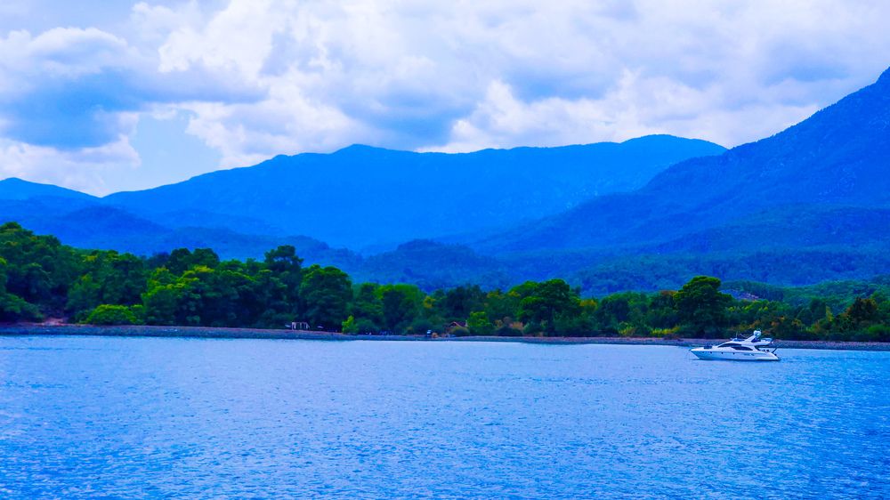 Фотография автора Elena Ku