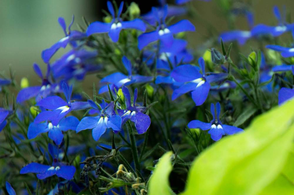 Photograph by Наталья Веряскина