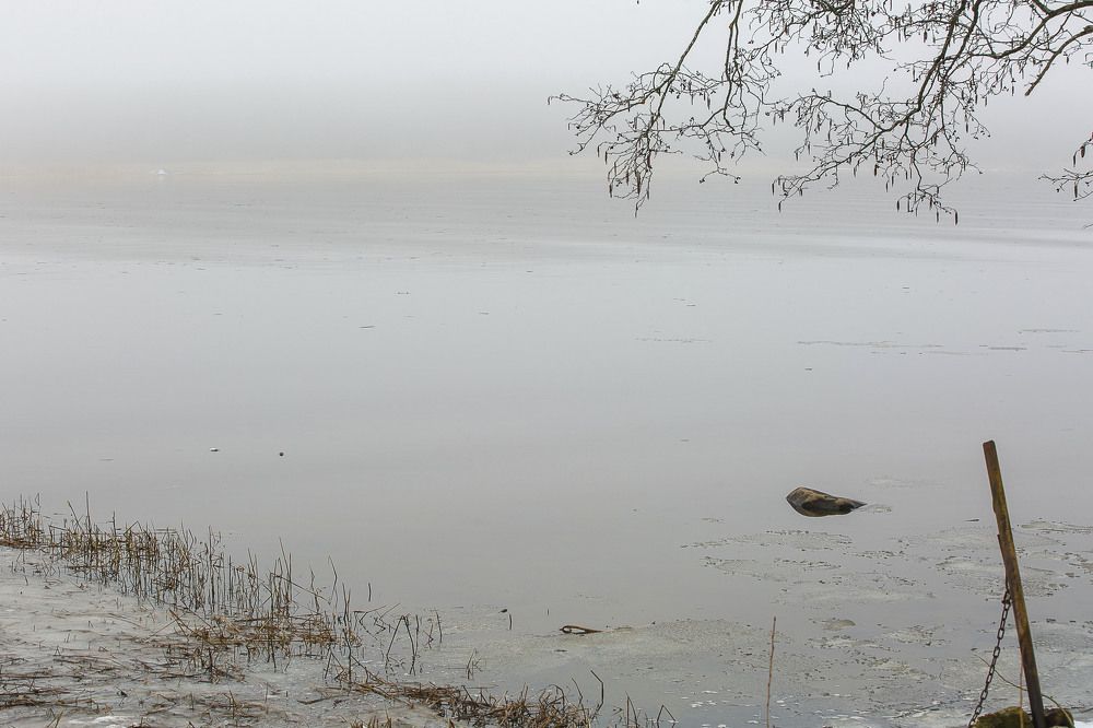 Photograph by Наталья Катюжанская