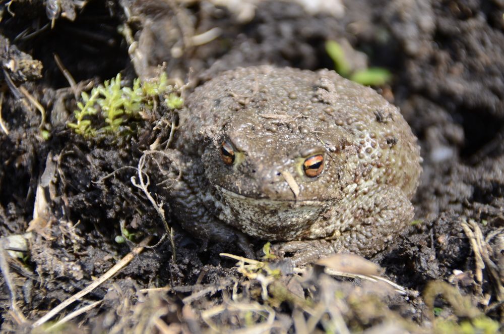 Photograph by Николай Соколовский