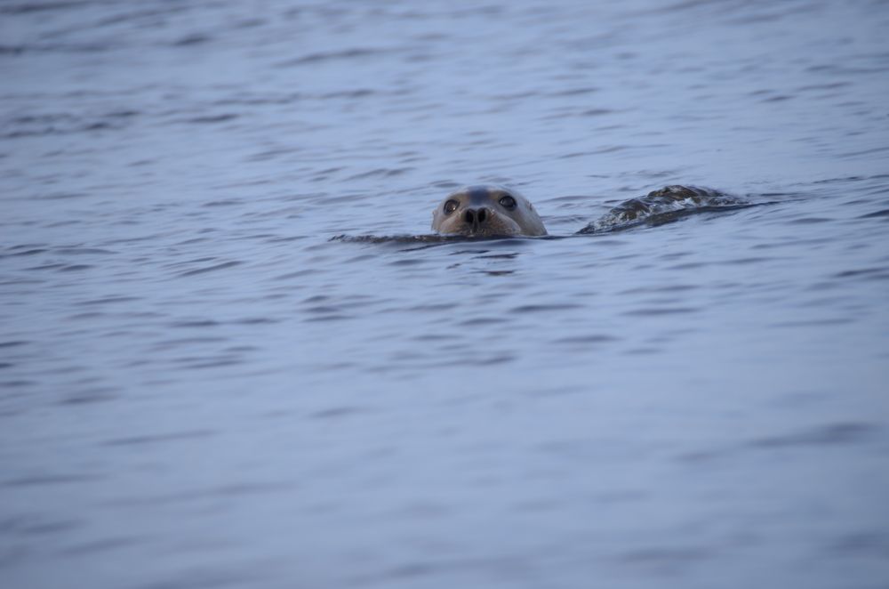 Photograph by Николай Соколовский