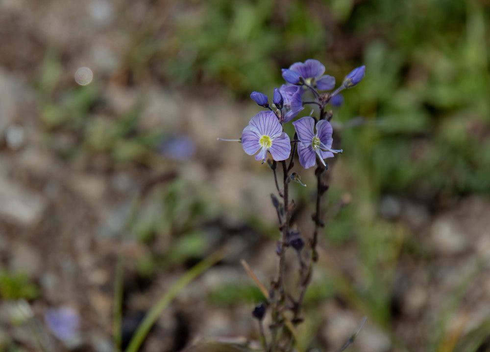 Photograph by Наталья Веряскина