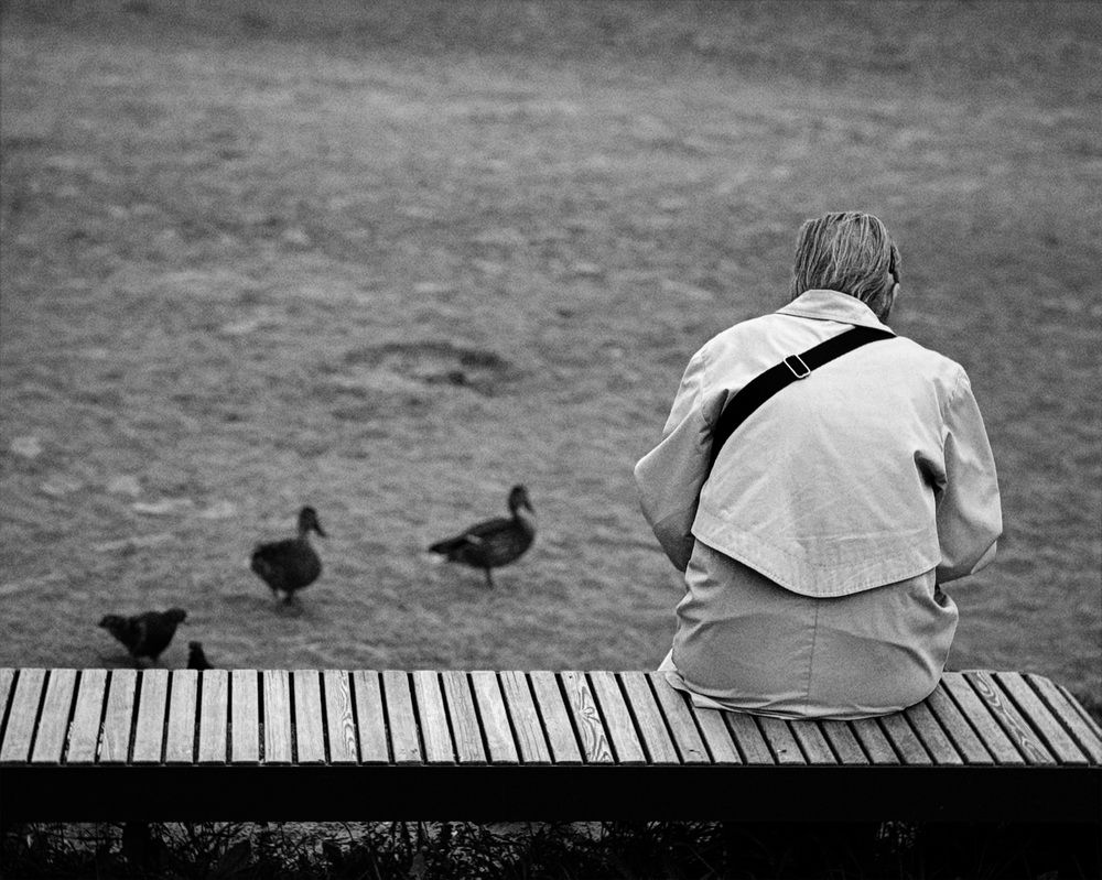 Фотография автора Дарья Викторова