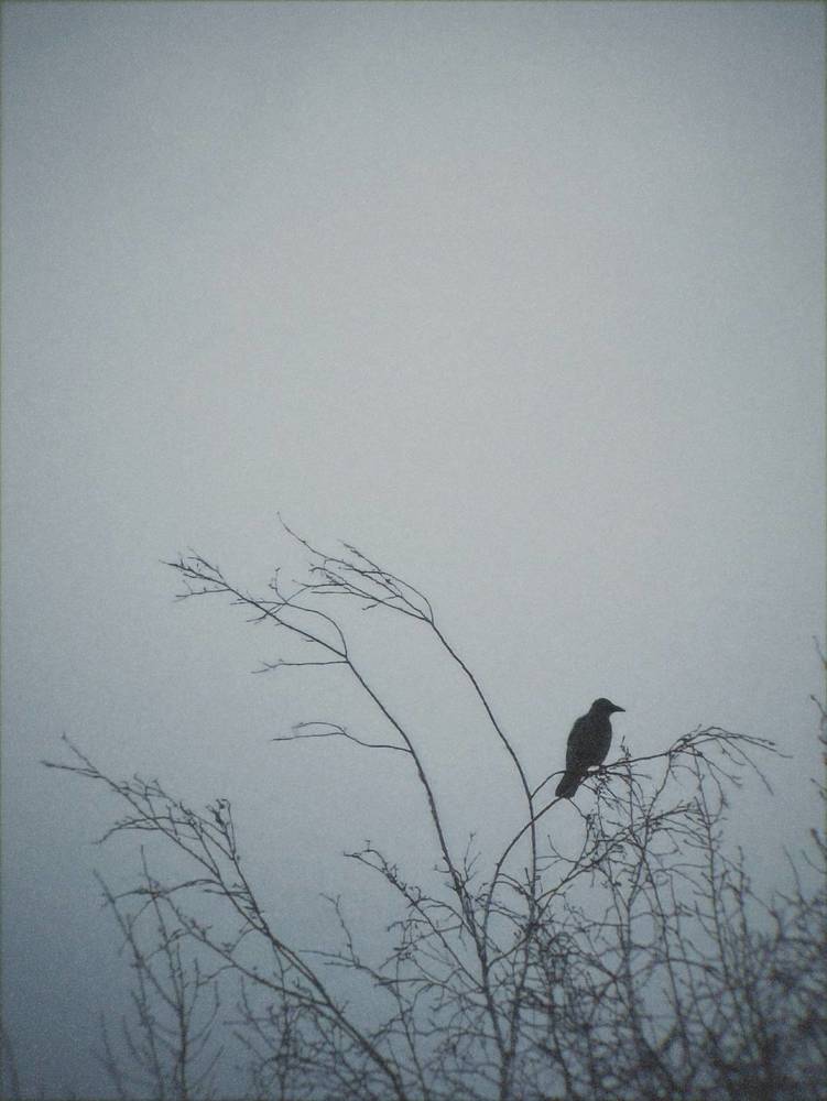 Фотография автора Дарья Викторова