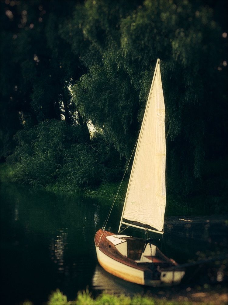 Фотография автора Дарья Викторова