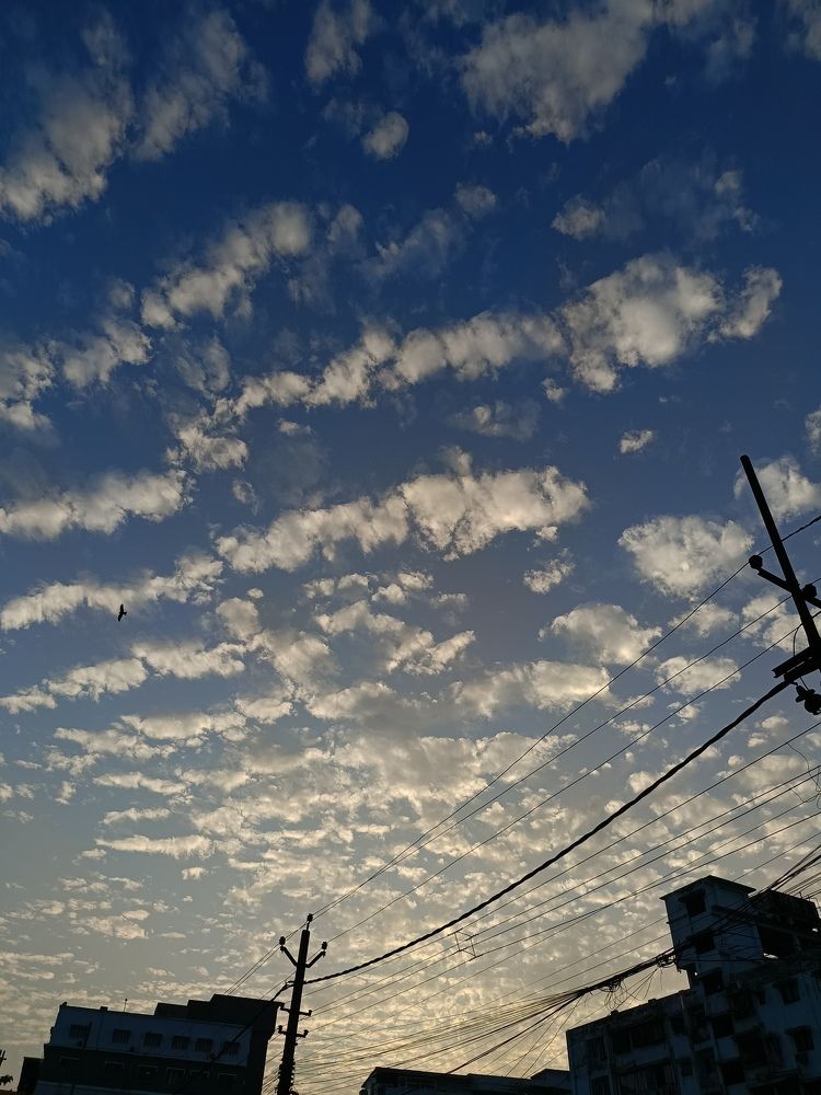 Photo #11353542