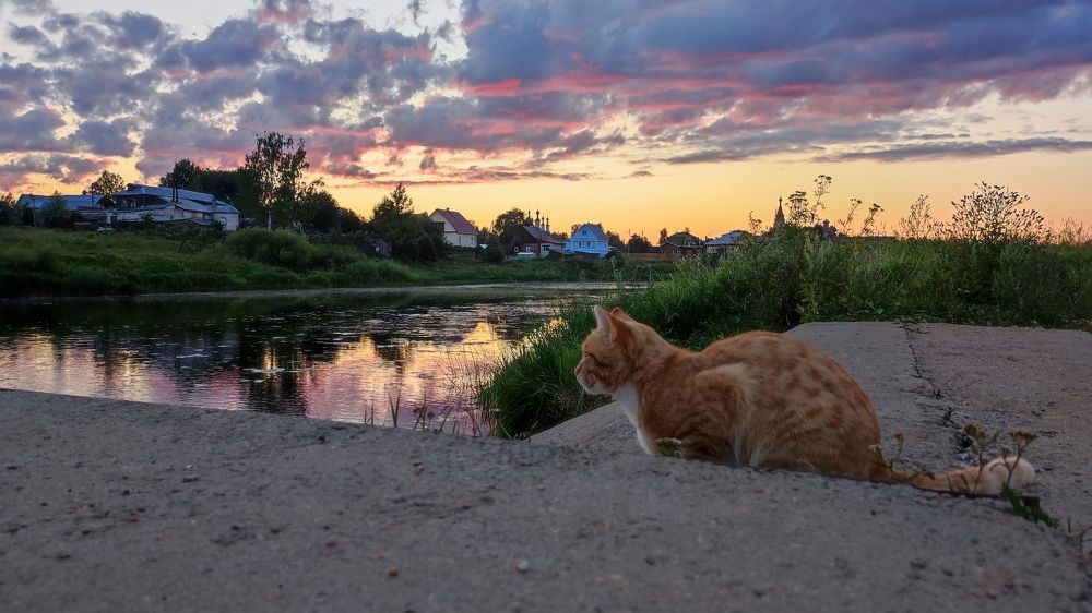 Photograph by Марина Артемьева