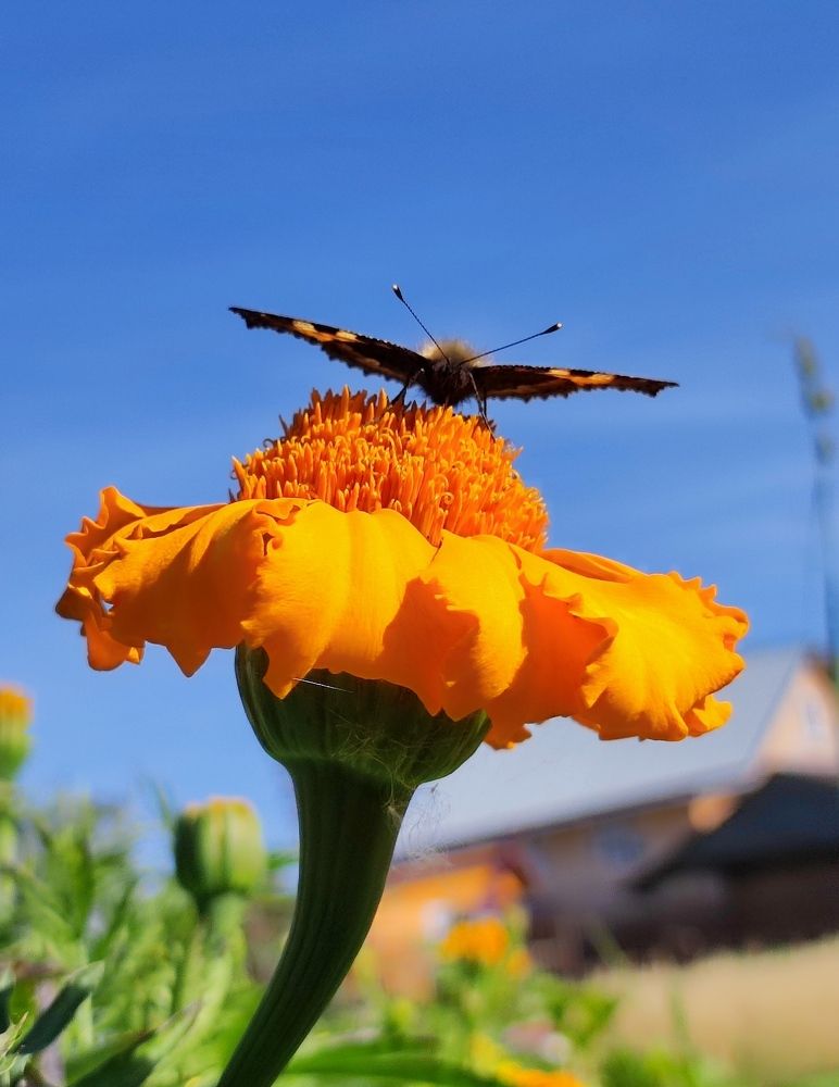 Photograph by Марина Артемьева