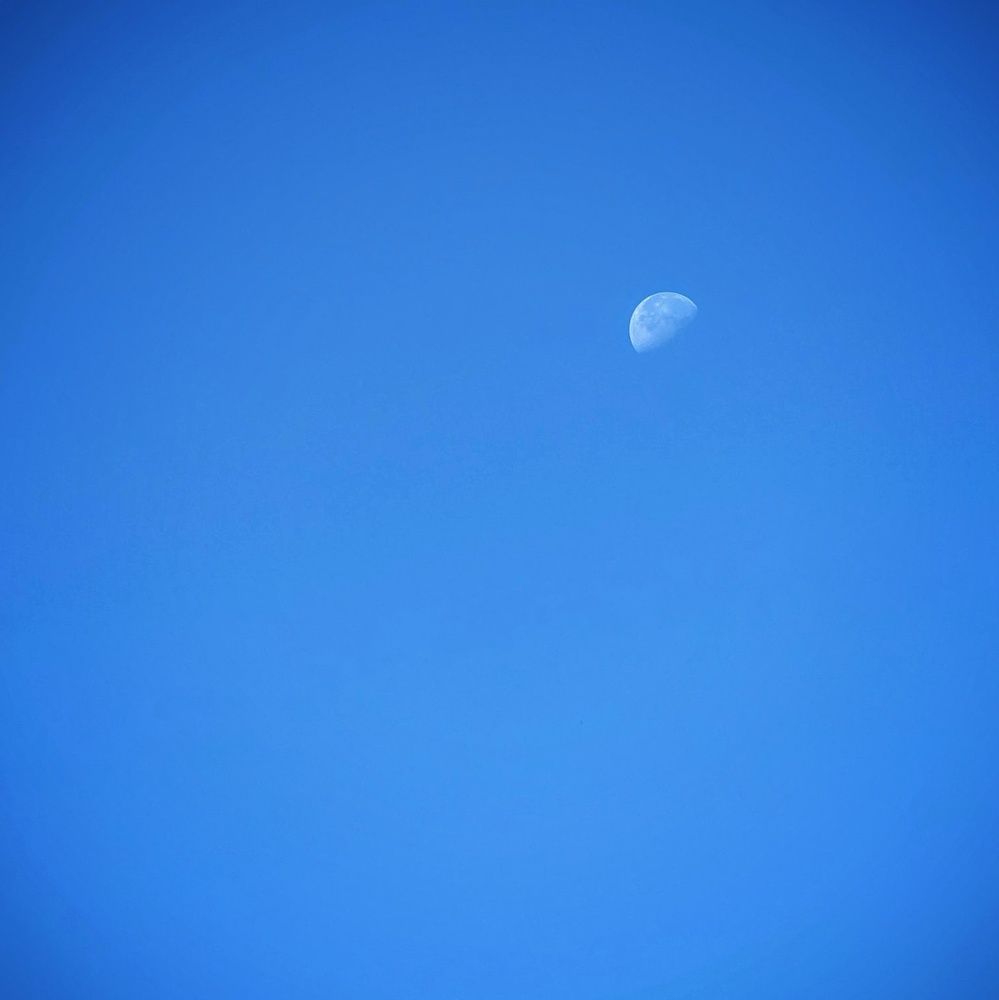 Photograph by AlexaL