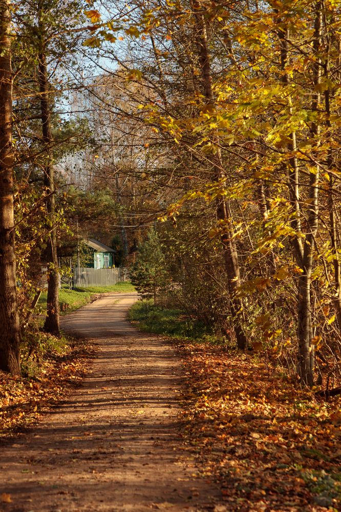 Photograph by Людмила Сироткина