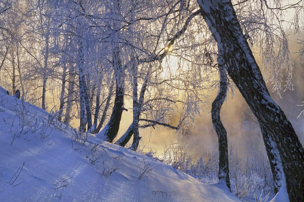 Photograph by Мишустина Татьяна