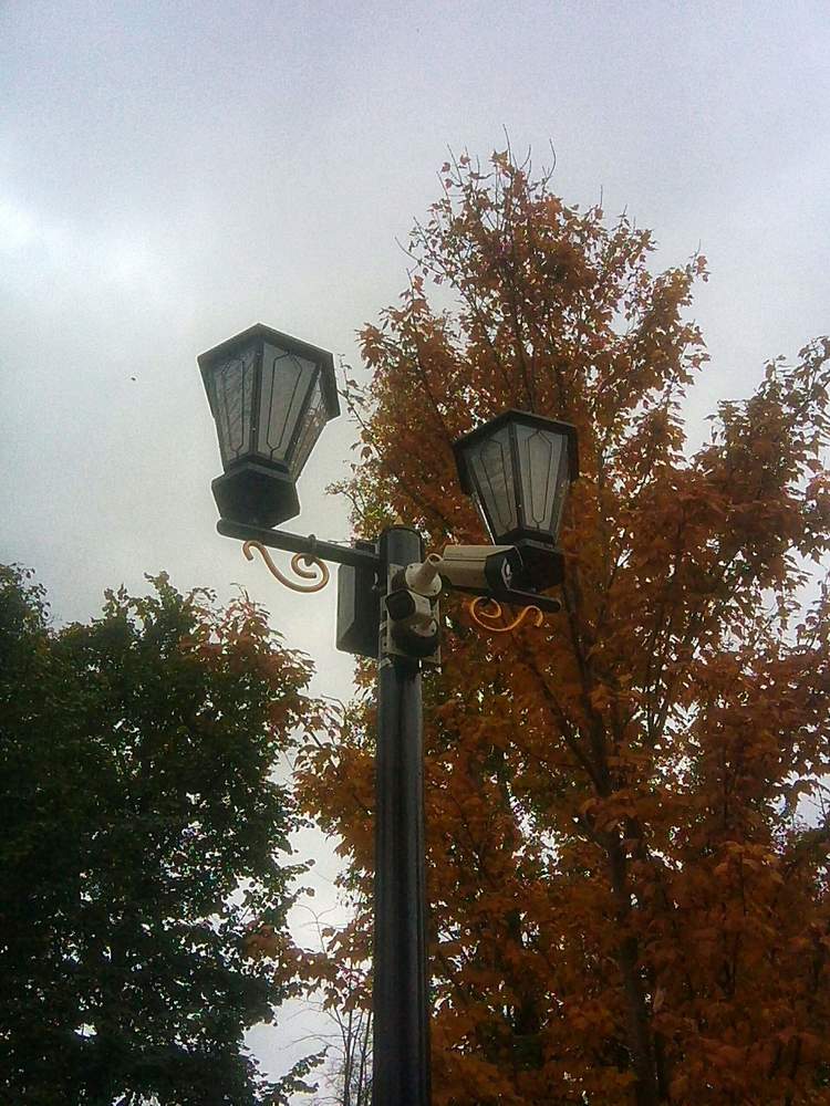 Photograph by Настя Настена