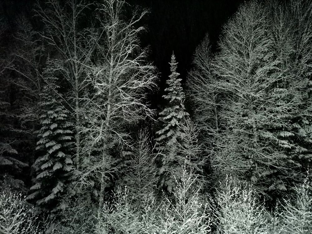 Photograph by Сергей Веселов