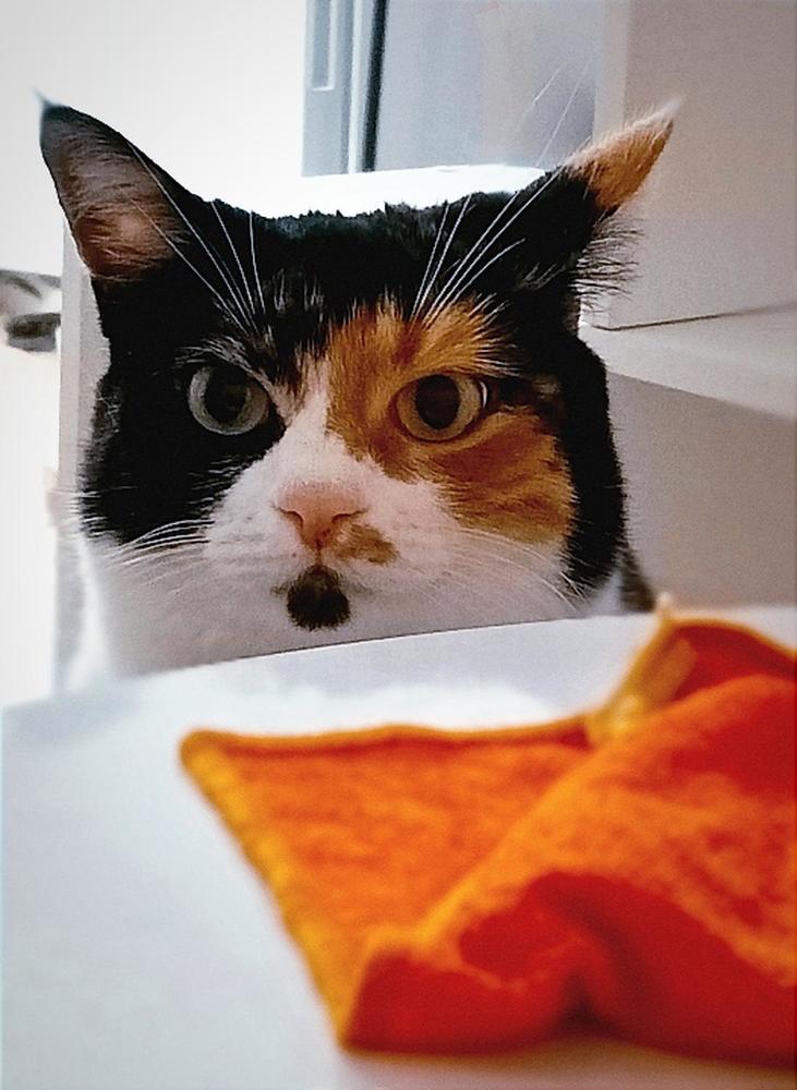 Photograph by Владислав Качан