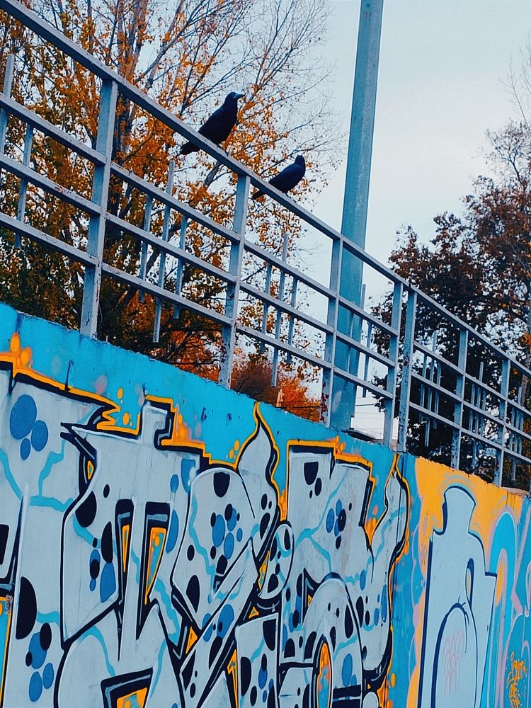 Photograph by Владислав Качан