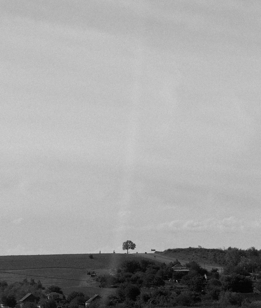 Photograph by Анна Голубцова