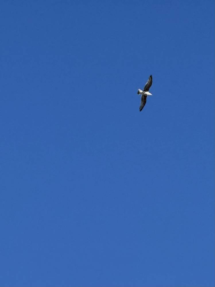 Photograph by Zhanna Kolesnikova