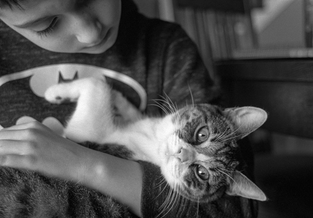 Photograph by Shannon Maltbie-Davis