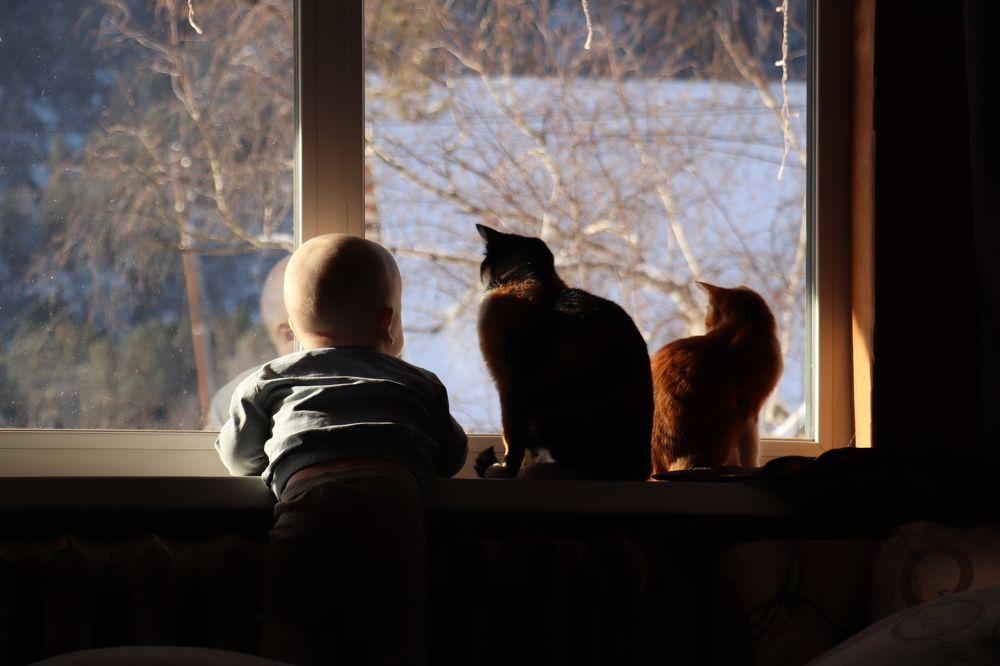 Photograph by Татьяна Кужлекова