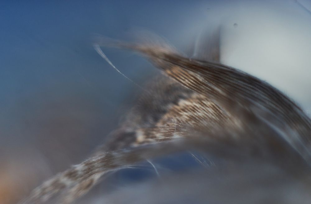 Photograph by Михаил