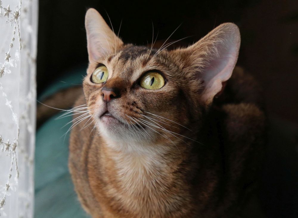 Photograph by Наталья Задерновская