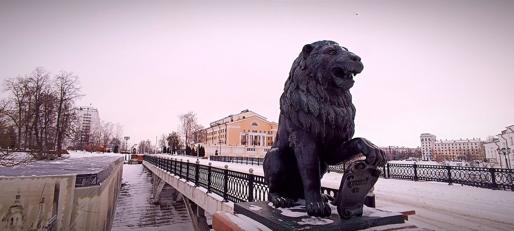 Photograph by Mishel Photographer