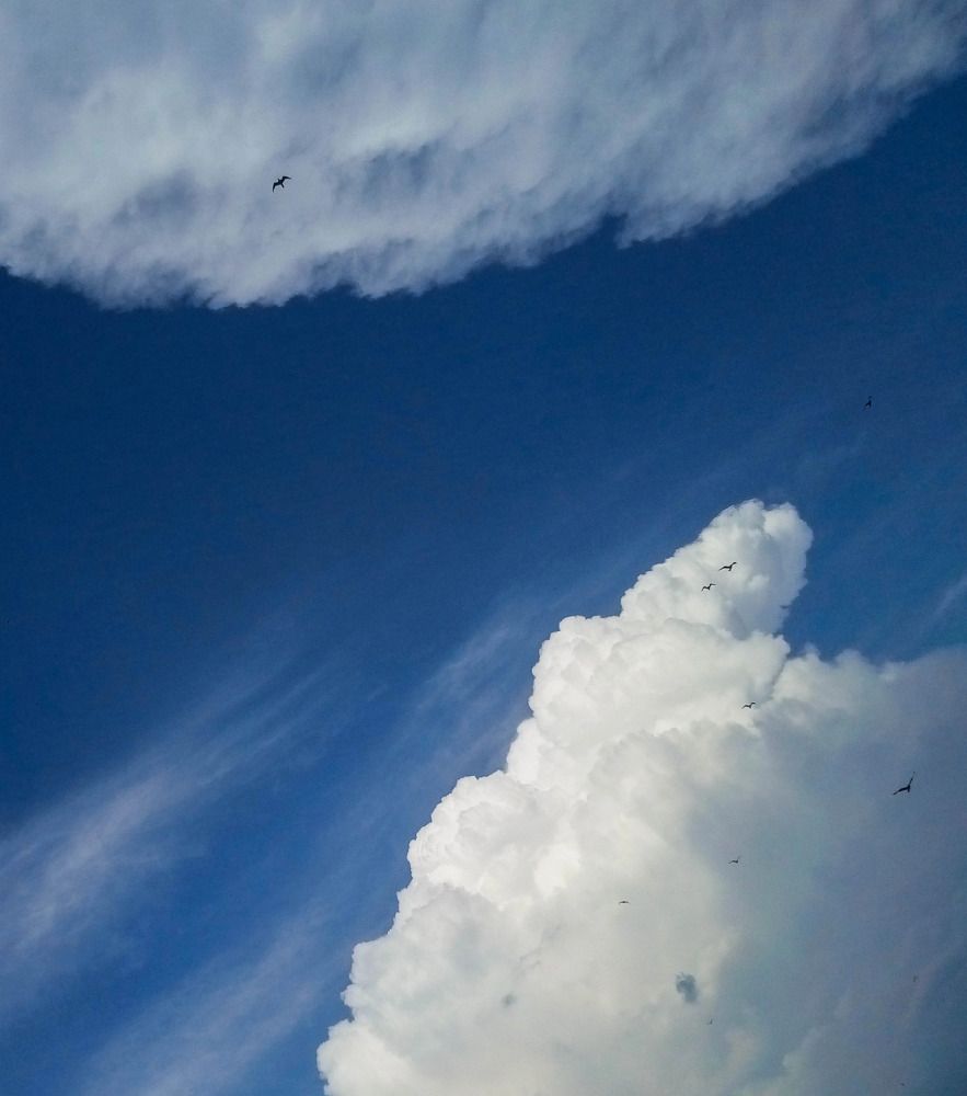 Photograph by Наталья Шумилова