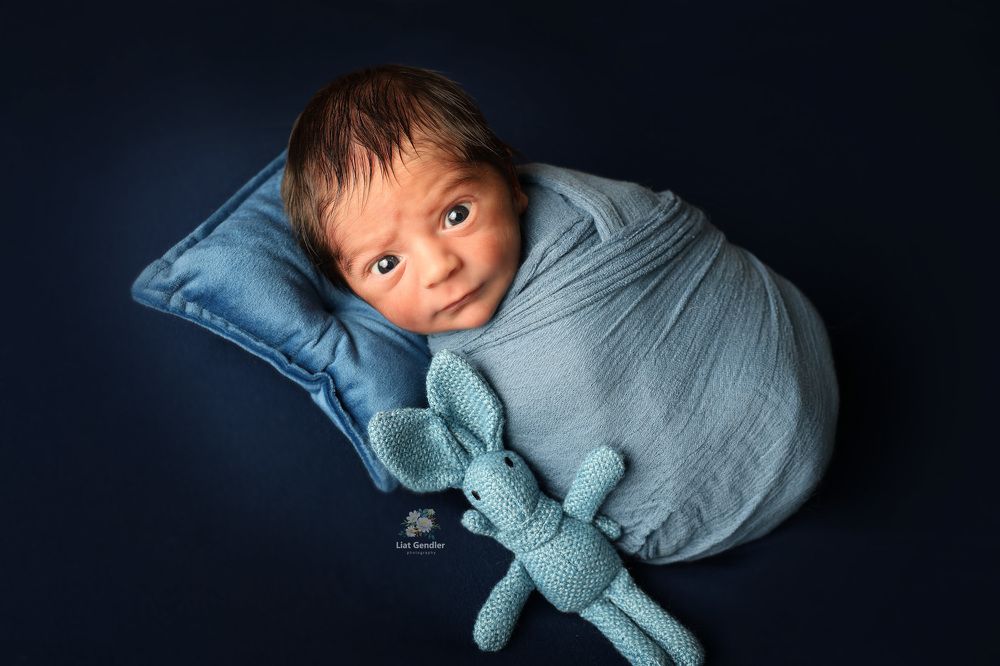 Photograph by LIAT GENDLER