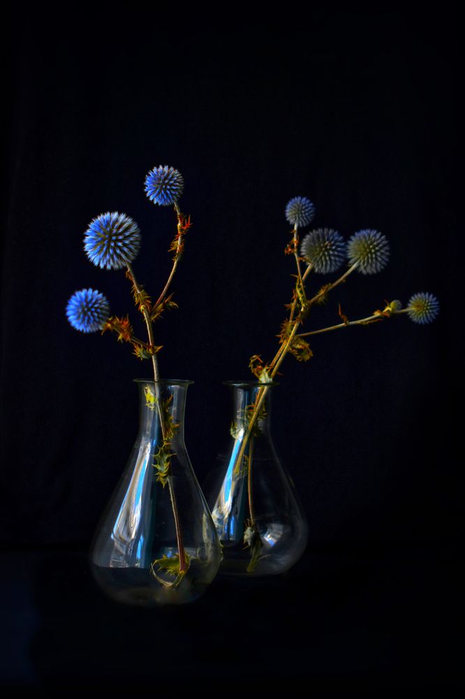 Фотография автора Екатерина Круглик