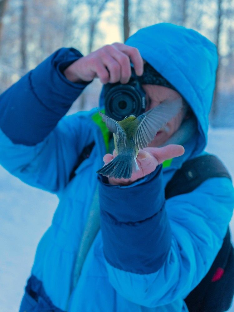 Сейчас вылетит птичка