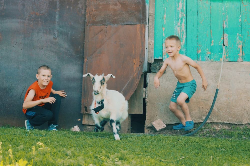 Photograph by Вера Мелёхина