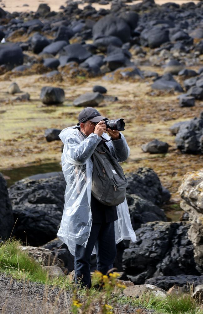 Photograph by Grădinaru Catalin