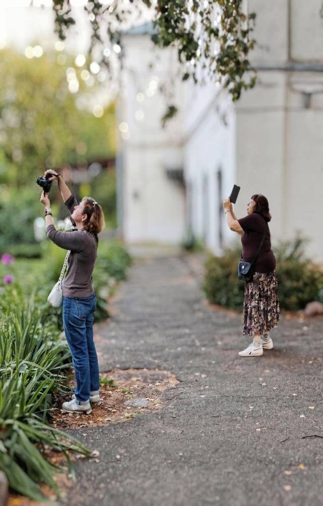 Photograph by Елена Бородулина