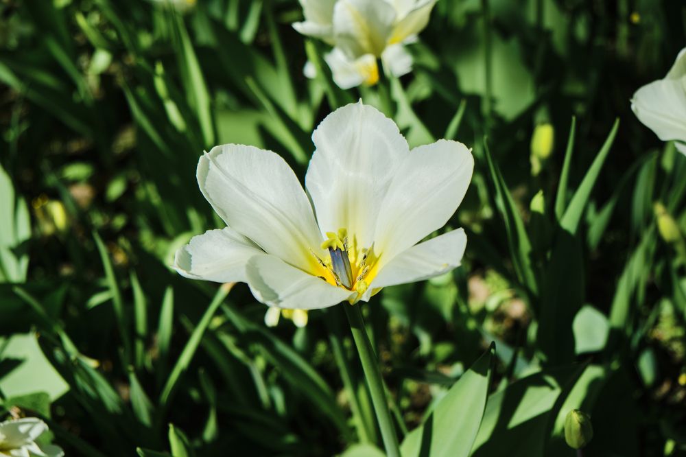 Photograph by Алексей Малов