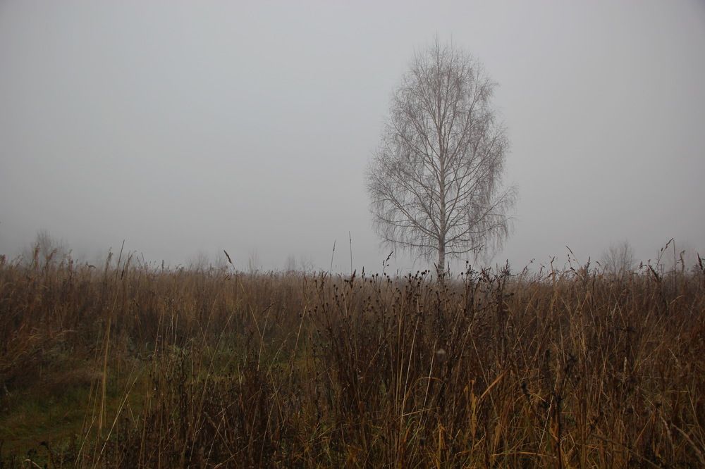 Фотография автора Анатолий Борисов