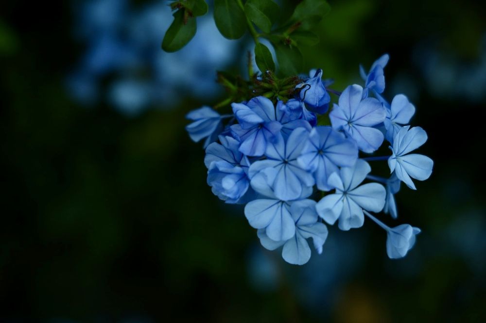 Photograph by Юлия Максютенко