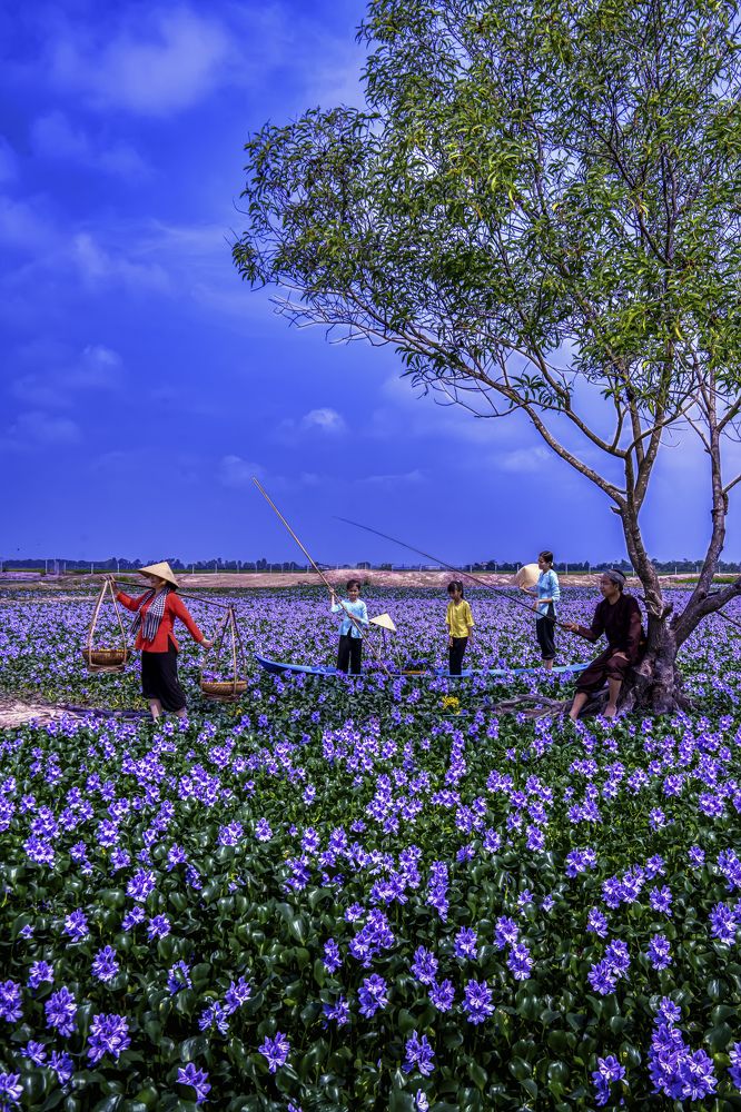 Photograph by Giang Nguyen Thi Tuyet
