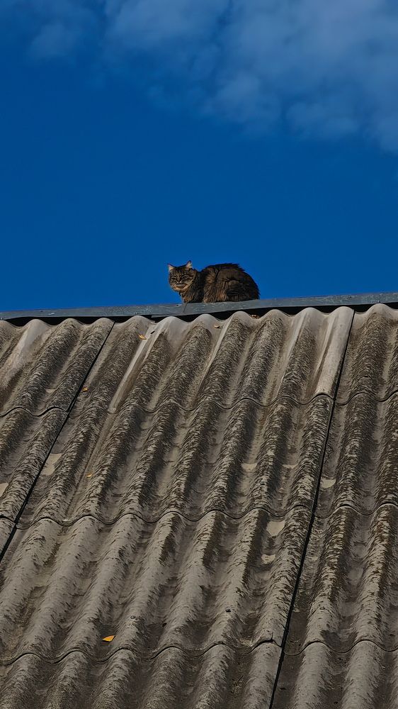 Photograph by Maria Stankevich